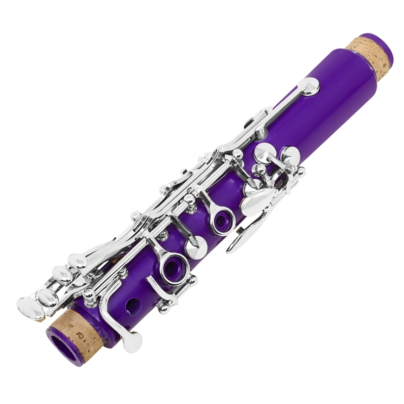 Musical Instrument In Orchestra - Set strumenti per clarinetto in plastica