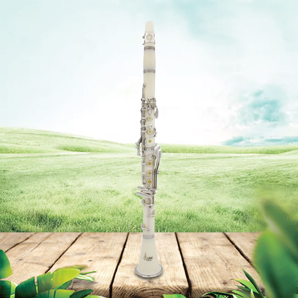 Musical Instrument In Orchestra - Clarinetto Sib a 17 chiavi con