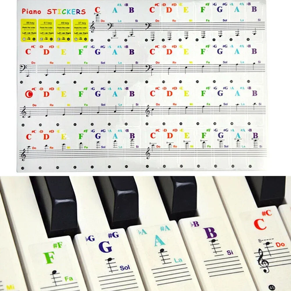 Musical Instrument Tabla - Trasparente Colorato Pianos Tastiere Adesivi Note