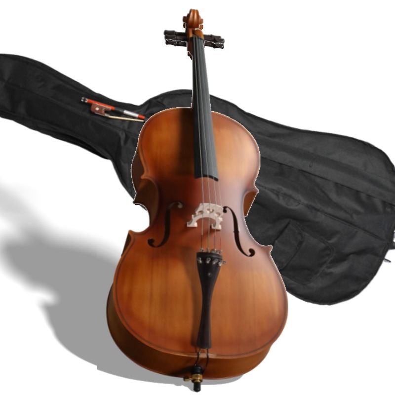 Musical Instrument In Orchestra - Violoncello a pannello BASSWOOD di colore
