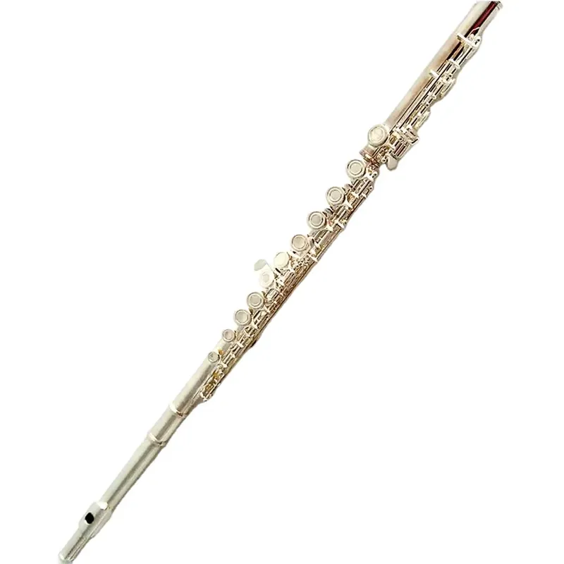 Musical Instrument In Orchestra - Flauto a 16/17 Fori Placcato Argento,
