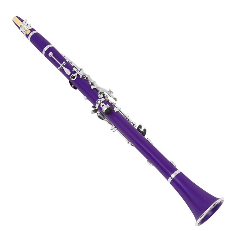 Set strumenti per clarinetto i - Musical Instrument In Orchestra recensione e prezzo