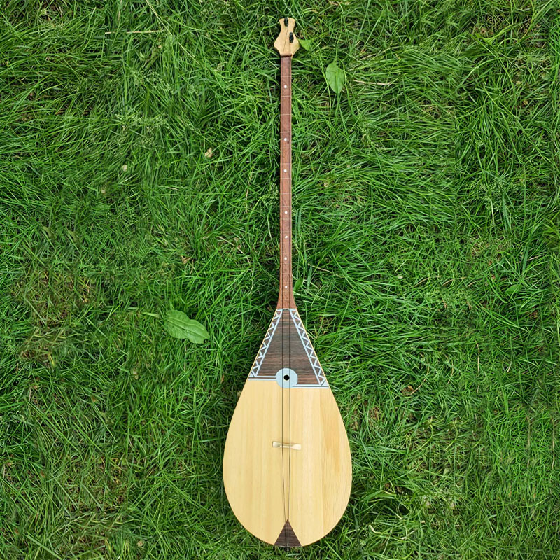 Urumqi Kazak Minoranza Gruppo  - Musical Instrument Oud recensione e prezzo