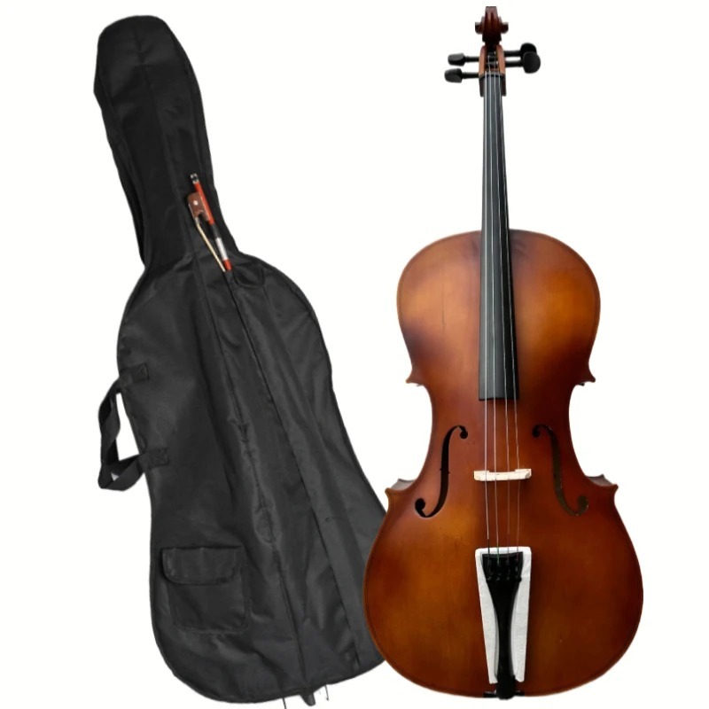 Violoncello a pannello BASSWOO - Musical Instrument In Orchestra recensione e prezzo