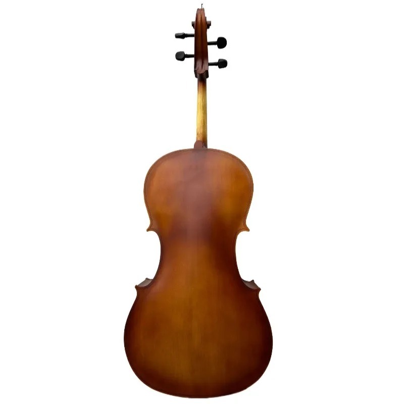 Violoncello a pannello BASSWOO - Musical Instrument In Orchestra recensione e prezzo