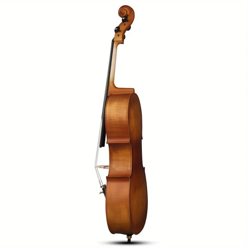 Violoncello a pannello BASSWOO - Musical Instrument In Orchestra recensione e prezzo