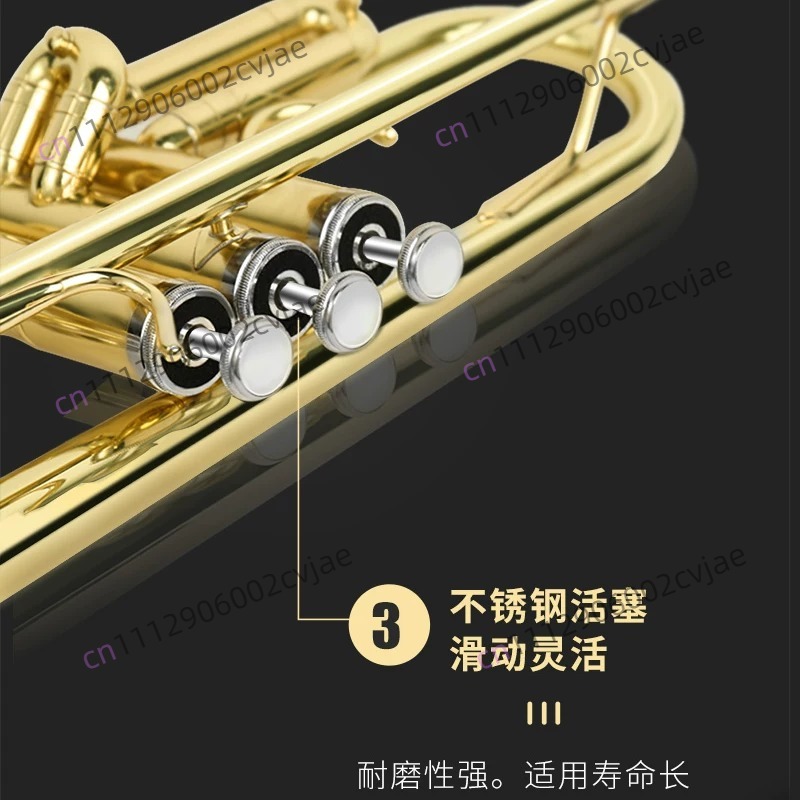 Adatto per la tromba Jinbao JB - Musical Instrument Drum recensione e prezzo