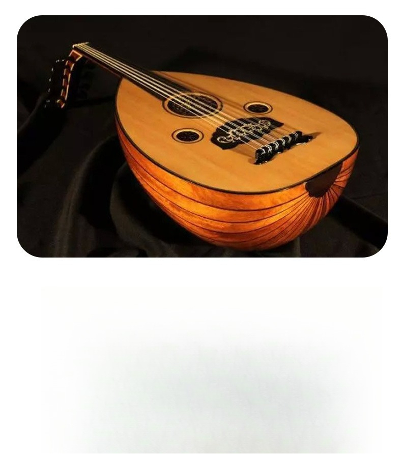 Oud, il re degli strumenti mus - Musical Instrument Oud recensione e prezzo