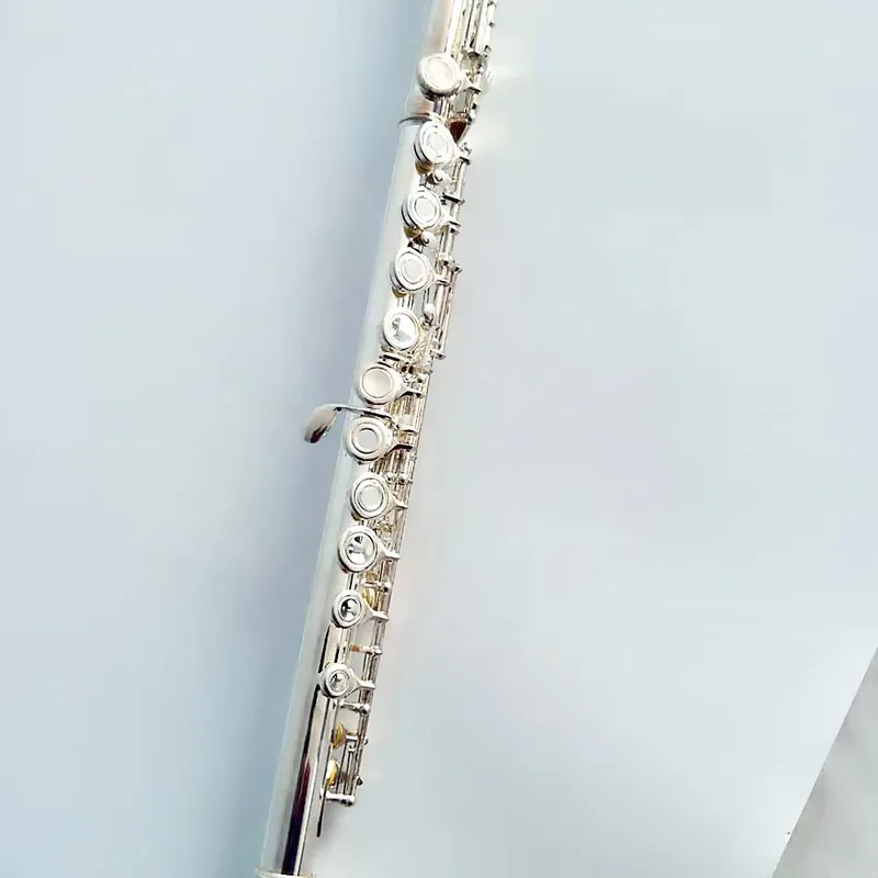 Flauto a 16/17 Fori Placcato A - Musical Instrument In Orchestra recensione e prezzo