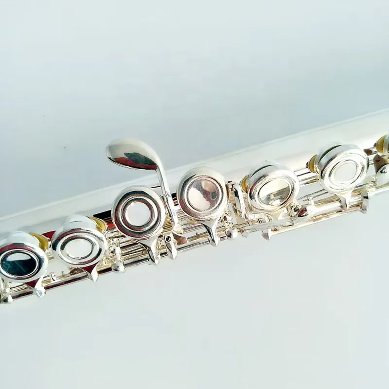 Flauto a 16/17 Fori Placcato A - Musical Instrument In Orchestra recensione e prezzo