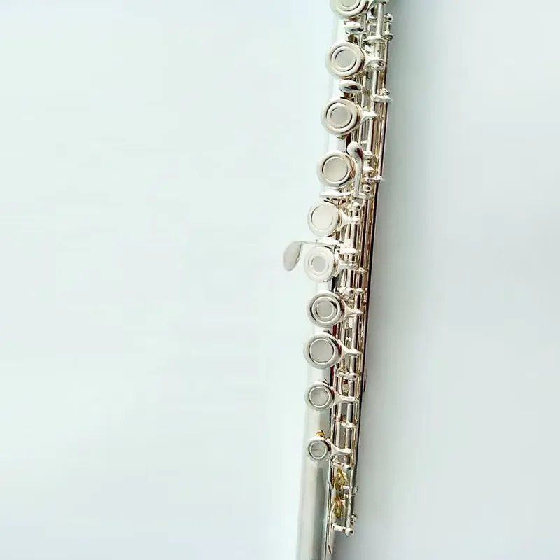 Flauto a 16/17 Fori Placcato A - Musical Instrument In Orchestra recensione e prezzo