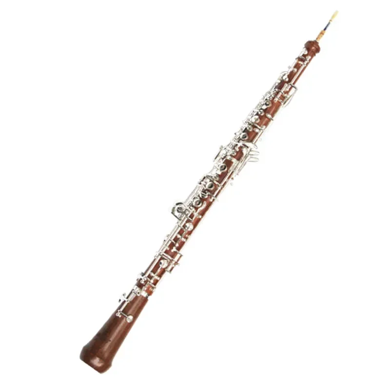 Oboe C in ottone sbiancato e a - Musical Instrument In Orchestra recensione e prezzo