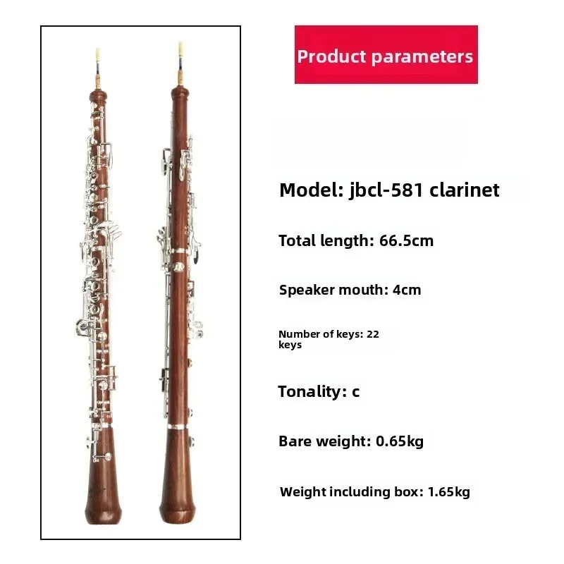 Oboe C in ottone sbiancato e a - Musical Instrument In Orchestra recensione e prezzo