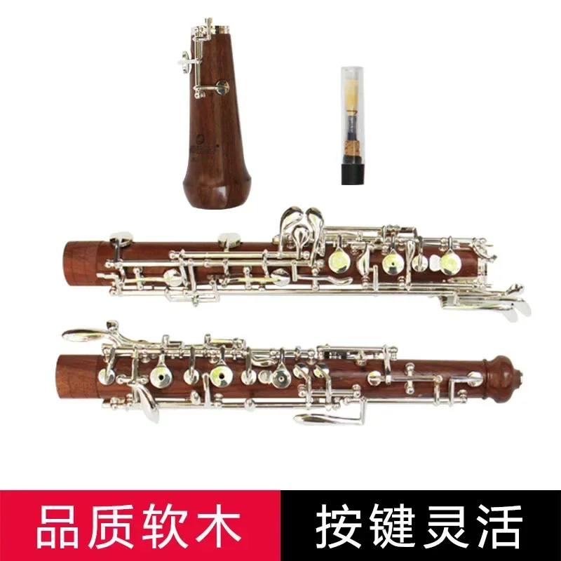Oboe C in ottone sbiancato e a - Musical Instrument In Orchestra recensione e prezzo